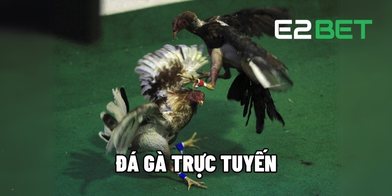 da ga truc tuyen 1