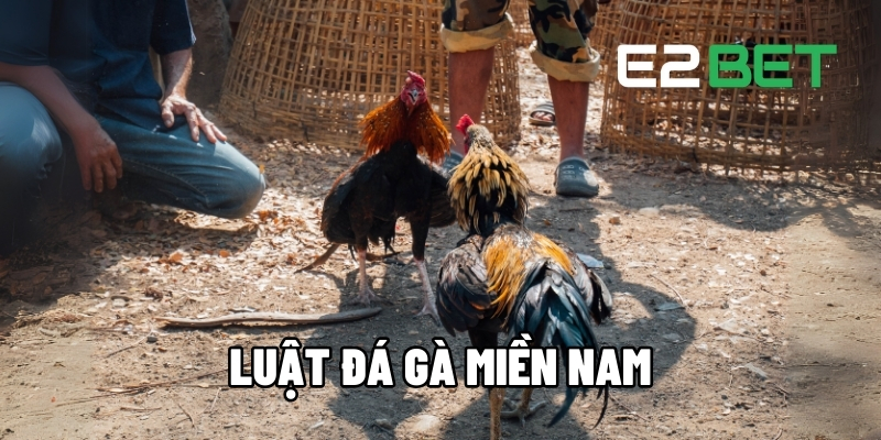 luat da ga mien nam 1